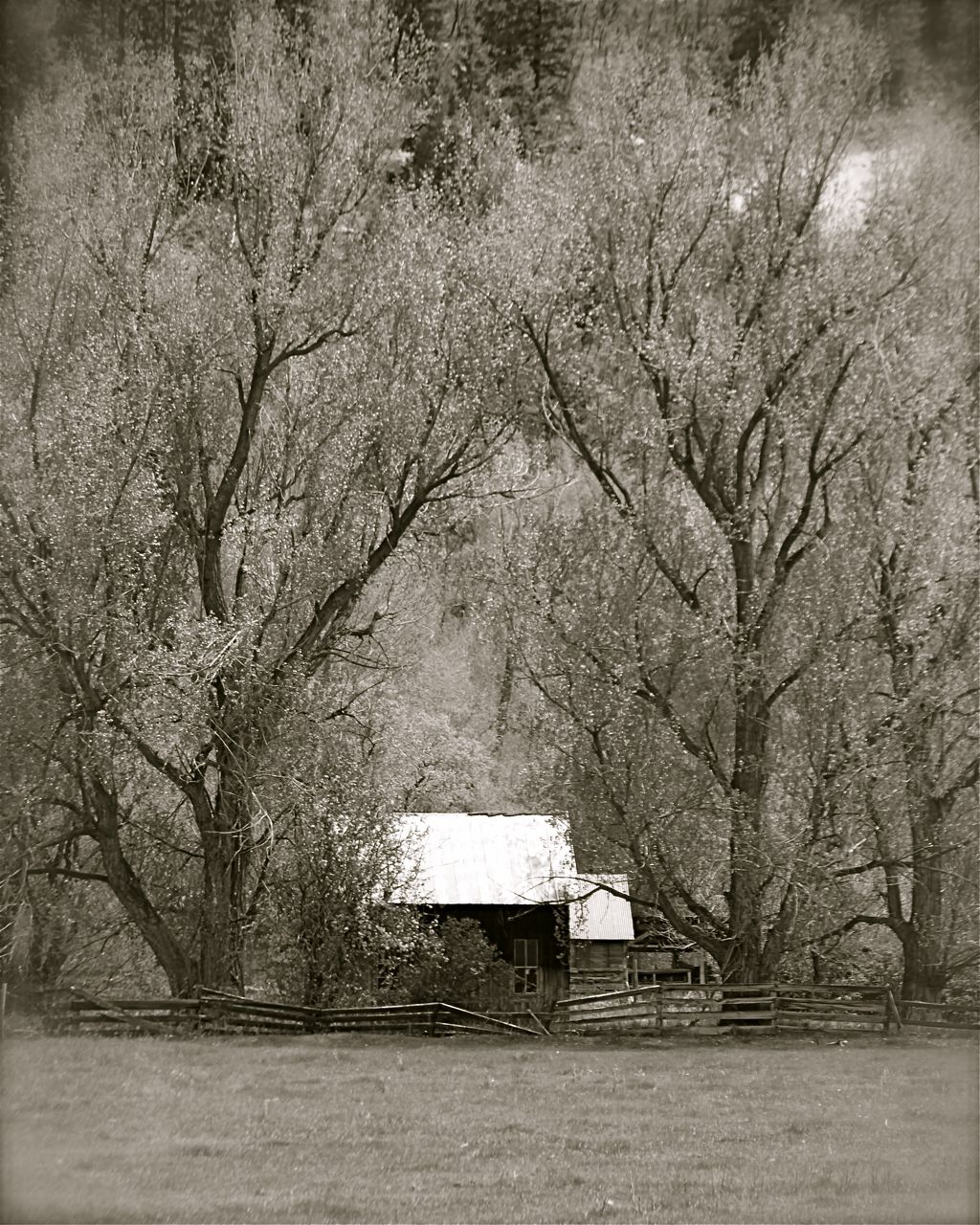 Abandoned farm house